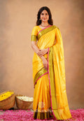Trending Soft Tissue Cotton Sarees